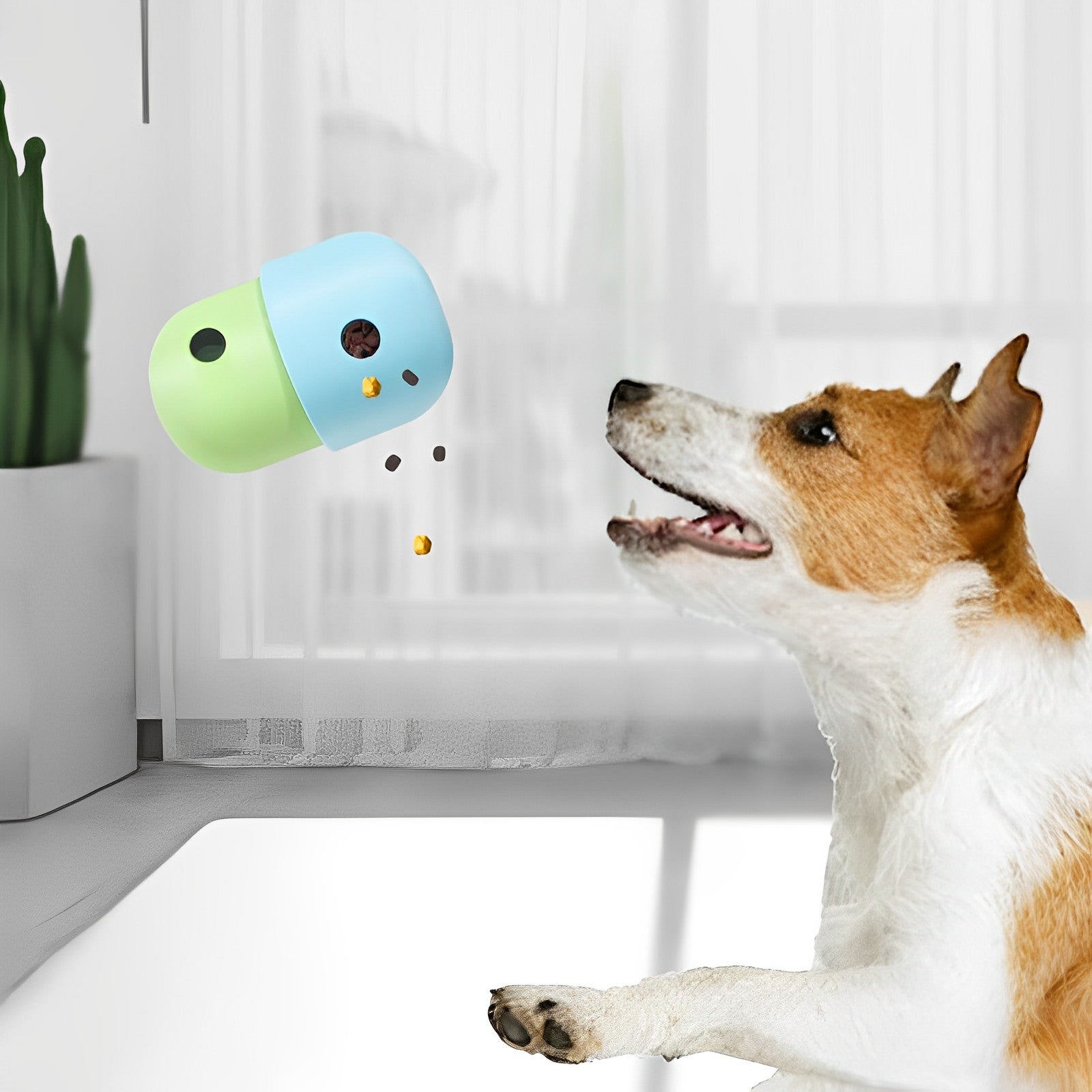 Pet Food Toy Pet Food Toy